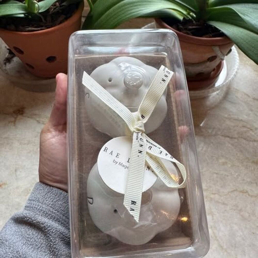Rae Dunn Salt & Pepper Shakers Set – NEW in Package – Fall Thanksgiving Gift